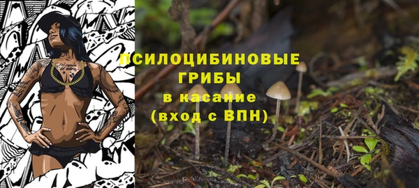 дживик Куйбышев