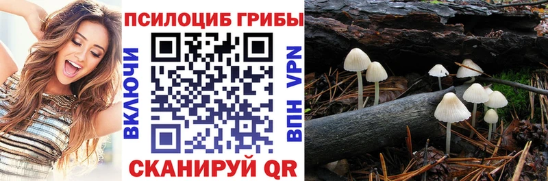 Псилоцибиновые грибы мухоморы  Межгорье 